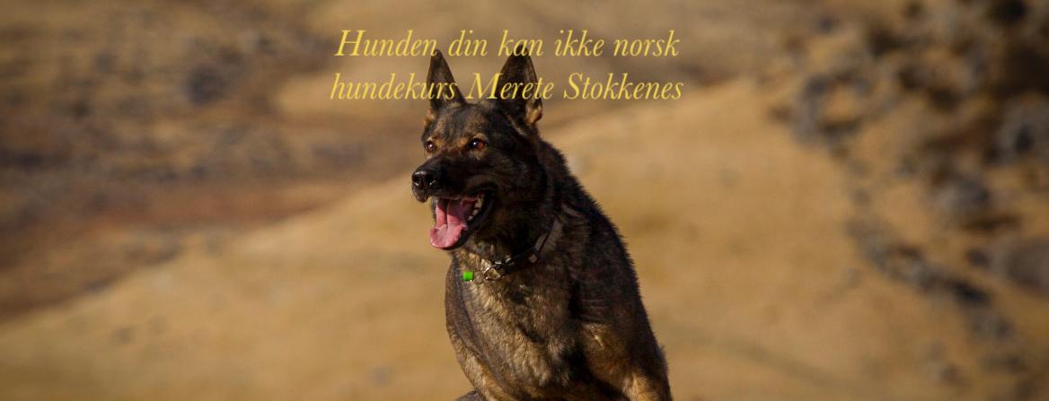 Merete Stokkenes logo